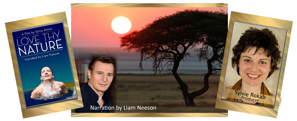 Liam Neeson Humanitarian Award